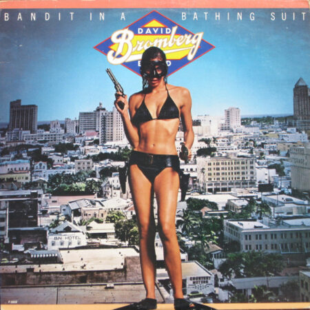 LP David Bromberg band Bandit in a bathing suit