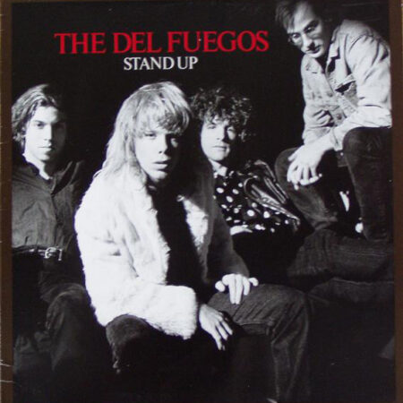 LP Del Fuegos Stand up