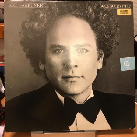 Art Garfunkel Scissors cut