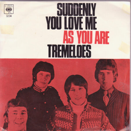 Tremeloes Suddenly you love me