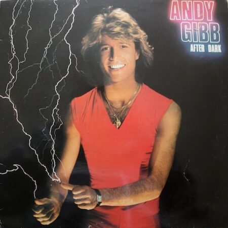 Andy Gibb After Dark