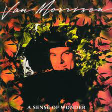 LP Van Morrison A sense of wonder