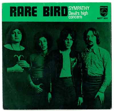 Rare Bird Symphony/DevilÂ´s high concern