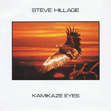 Maxi Steve Hillage Kamikaze eyes