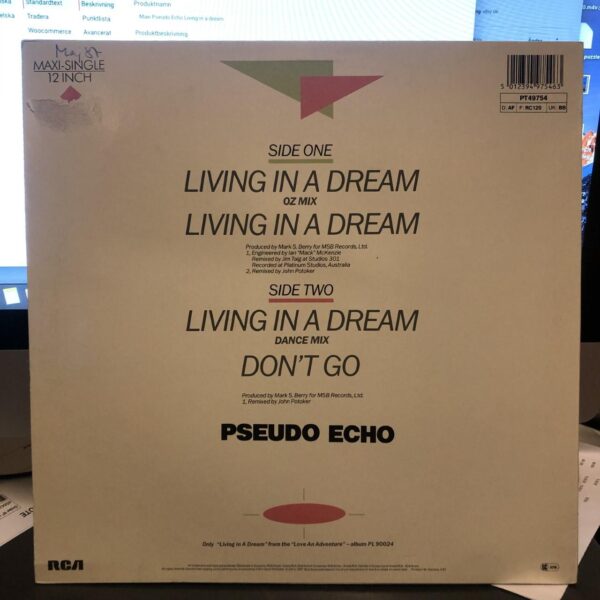 Maxi Pseudo Echo Living in a dream