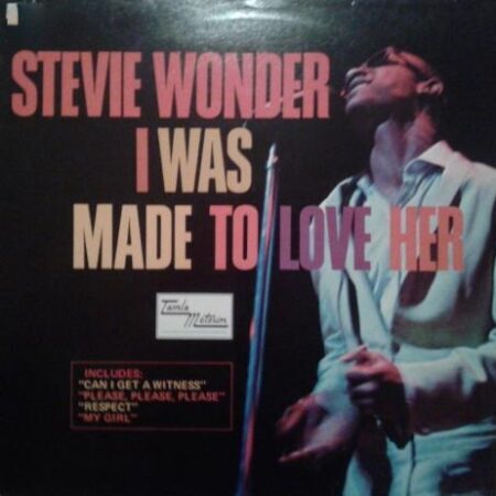 Stevie Wonder I was made to love her