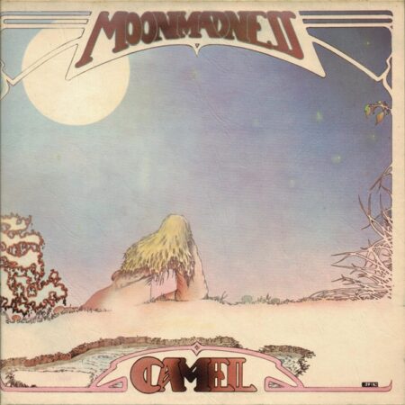 Camel Moondance