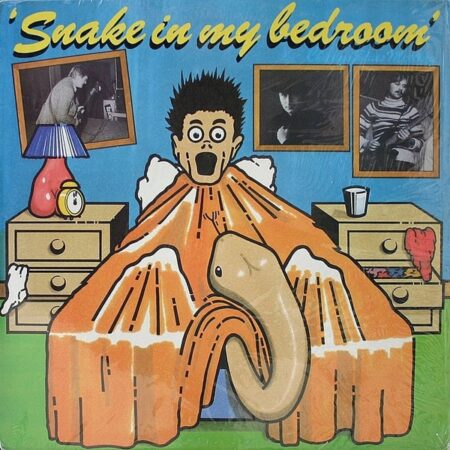 Snake in my bedroom Chicago Blues Meeting