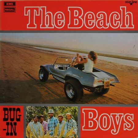 Beach Boys Bug-in