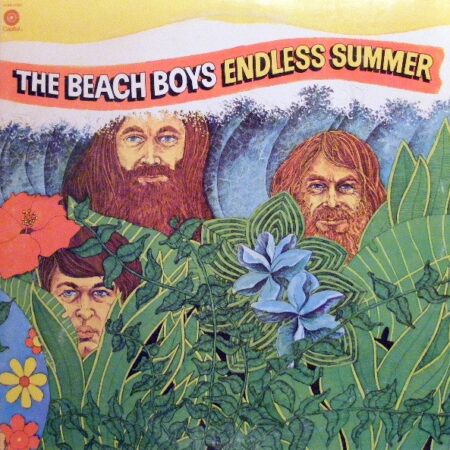 Beach Boys Endless summer