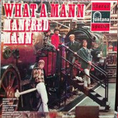 Manfred Mann What a Mann