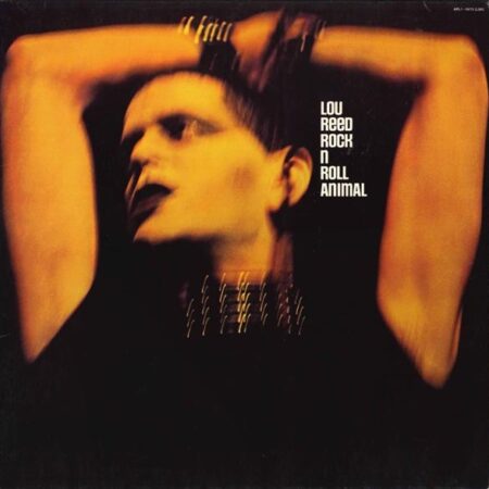 Lou Reed Rock´n´roll animal