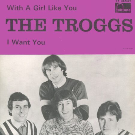 Troggs With a girl like you/I want you